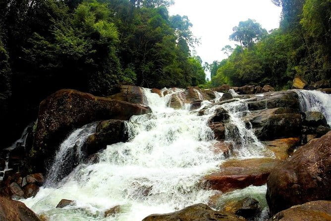 Kanneliya Rain Forest Tour - Private guide energy: what makes this walk feel personal