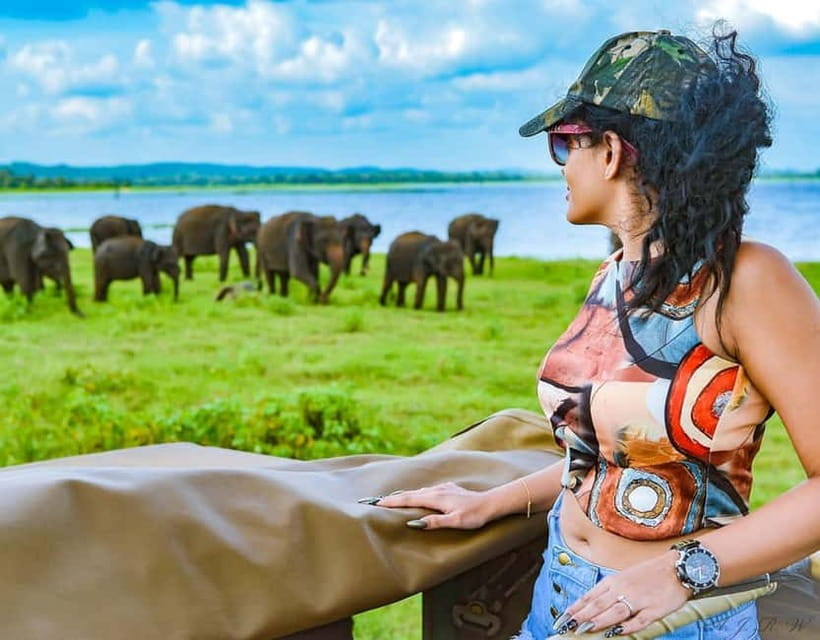 Kaudulla National Park Half-Day Safari with Expert - Elephant gathering at Kaudulla reservoir (July to October)
