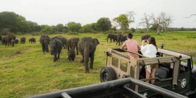Kaudulla National Park Half Day Sri Lanka Jeep Safari