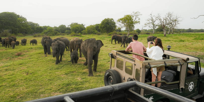 Kaudulla National Park Half Day Sri Lanka Jeep Safari - Getting to Kaudulla from Sigiriya, Habarana, Dambulla, and Kandalama