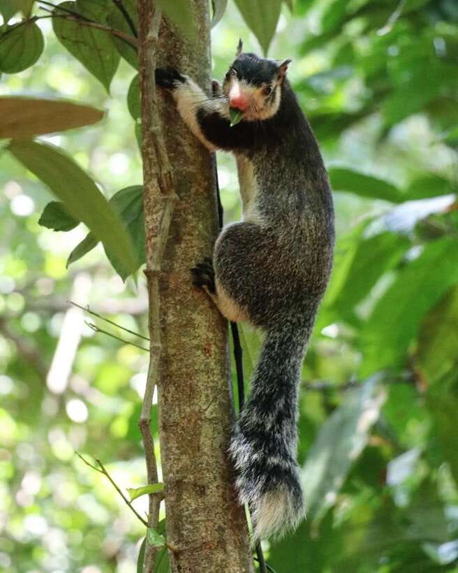 Kaudulla National Park Private Elephant & Wildlife Safari - Key Things to Know Before You Go