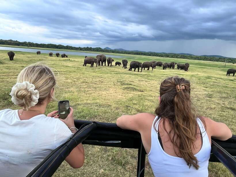 Kaudulla National Park: Private Safari - The private jeep setup, from Habarana pick-up to gate-side viewing