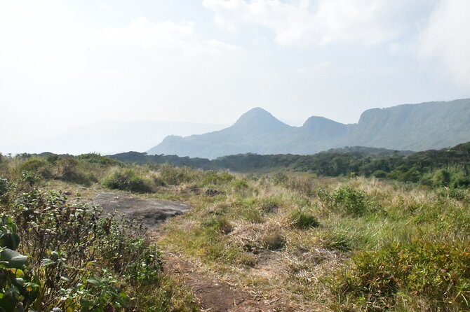 Knuckles Leopard trail Trek from Kandy - Tea trail uphill: where the Knuckles start turning wild