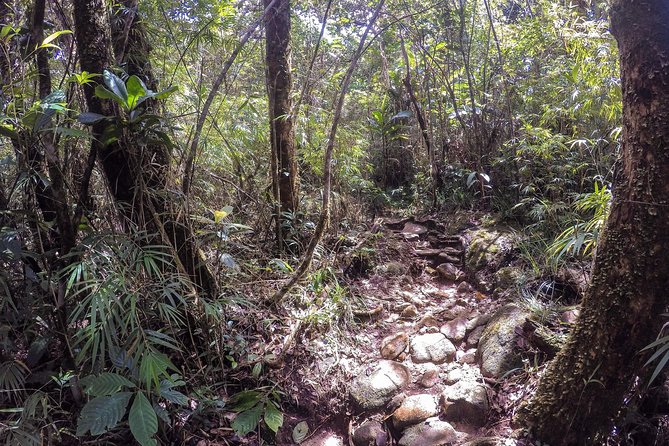 Knuckles Leopard trail Trek from Kandy - Waterfalls and picnic lunch, including a natural pool swim
