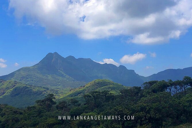 Knuckles Mountain Hiking - Key things to know before you go