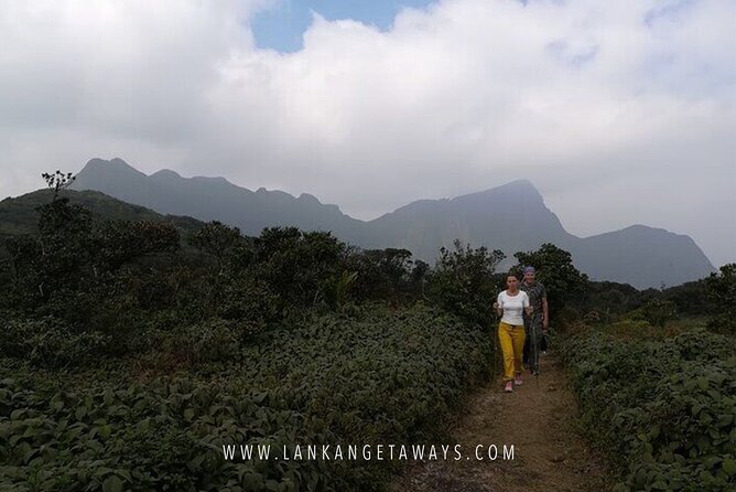 Knuckles Mountain Hiking - What your one-day hike actually feels like