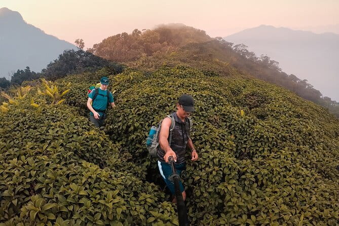 Knuckles Mountain Range Hiking and Trekking Day Tour From Kandy Hotels - Key things that make this tour worth your time