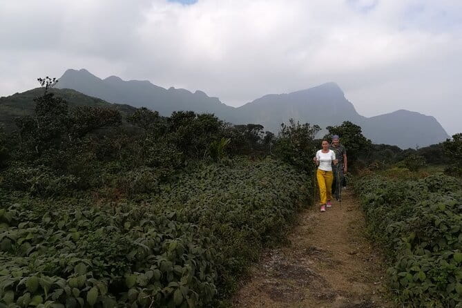Knuckles Mountain Range Hiking and Trekking Day Tour From Kandy Hotels - Stop 1: Knuckles Mountain Range and the Knuckles Peak challenge