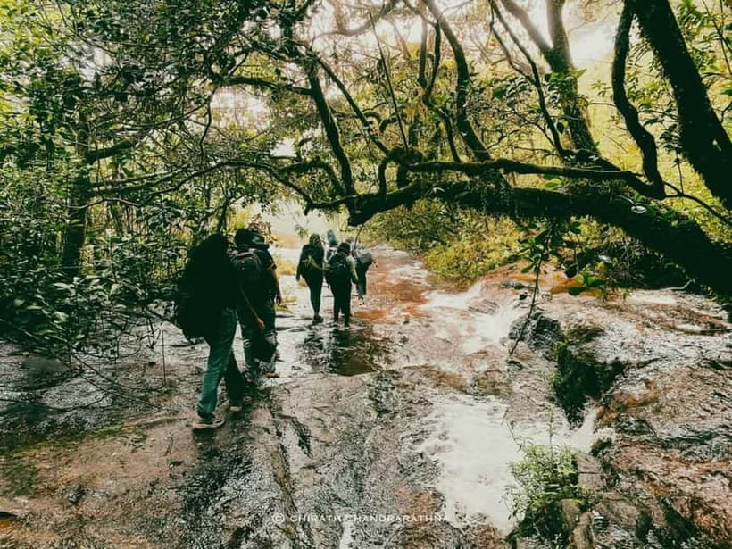Knuckles Mountain Range: Kotaganga Waterfall Chain Hike - Key things to know before you lace up