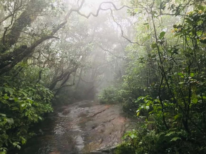 Knuckles Mountain Range: Kotaganga Waterfall Chain Hike - The stream route that leads to a seven-waterfall chain