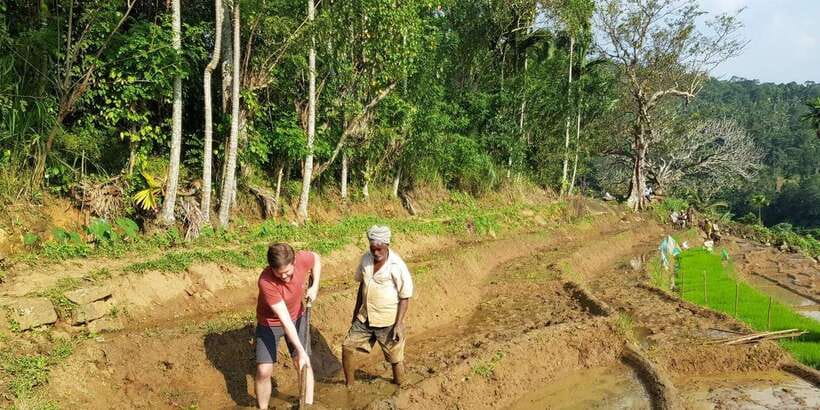 Knuckles Spice Trail Trek from Kandy - Difficulty, weather reality, and what to pack so the day stays fun