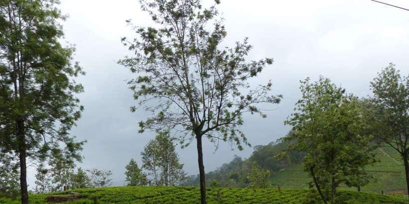 Knuckles Spice Trail Trek from Kandy - The traditional village visit, local culture, and lunch that tastes like the place