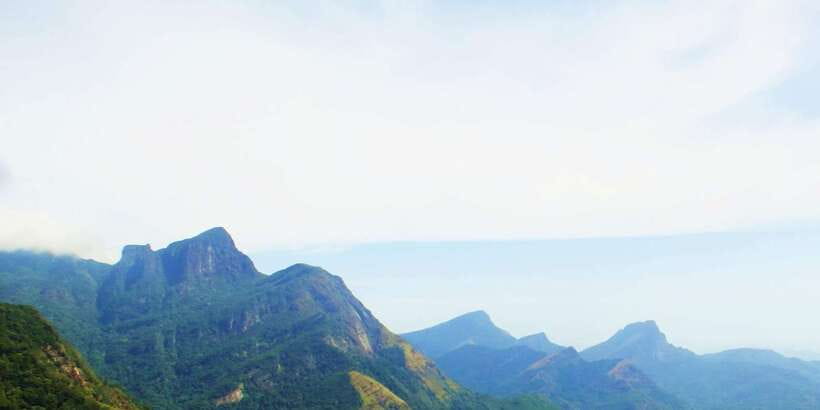 Knuckles Spice Trail Trek from Kandy - What the guide does, and how to get more value from every stop