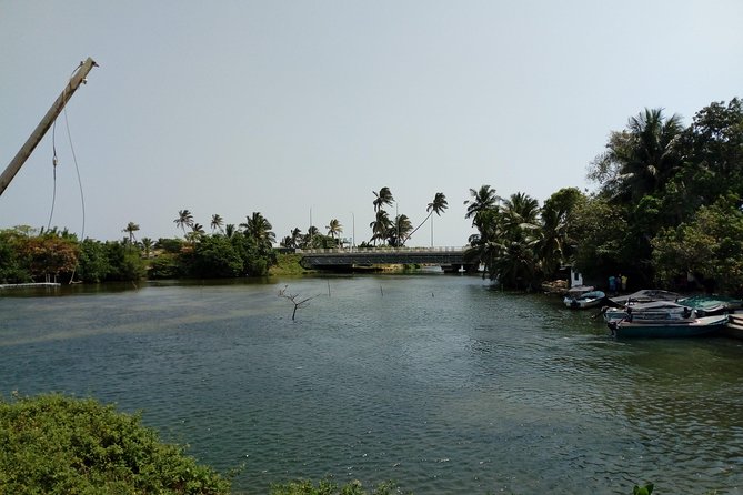 Koggala Lake Boat Tour - Key Highlights You Should Actually Care About