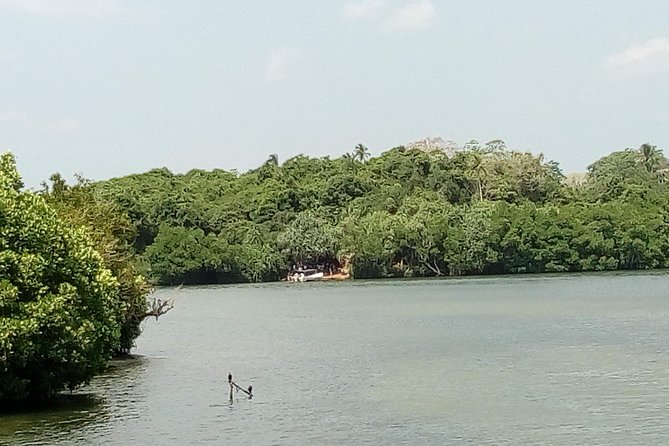 Koggala Lake Boat Tour - Private Boat on Koggala Lake, With Stops That Feel Personal