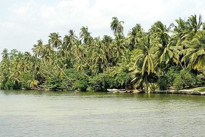 Koggala Lake Boat Tour - Galle Dutch Fort: A Fast Culture Hit Before the Water Time