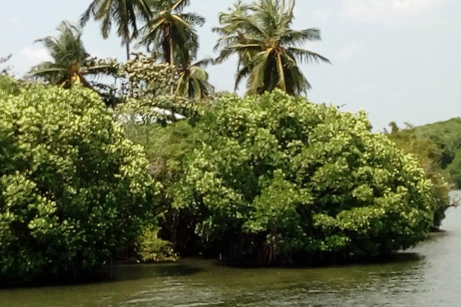 Koggala Lake Boat Tour - Koggala Lake Boat Ride: Temple Island, Cinnamon Island, and Spice Gardens