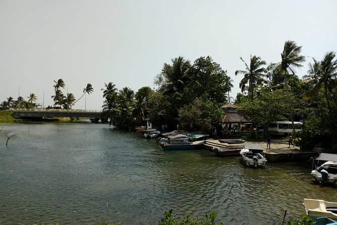 Koggala Lake Boat Tour - Guide Quality Makes or Breaks the Experience