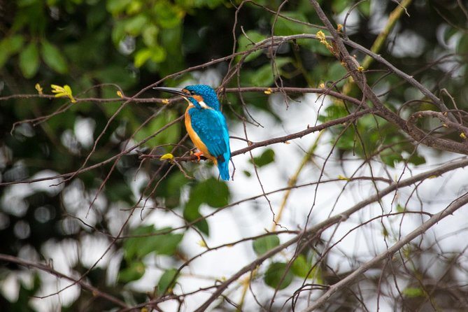 Kumana National park Full day safari - Kumana National Park: birds first, big animals when luck aligns