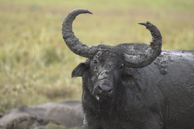 Kumana National Park Half Day Jeep Safari - Kumana Safari from Arugam Bay, Why This Route Makes Sense