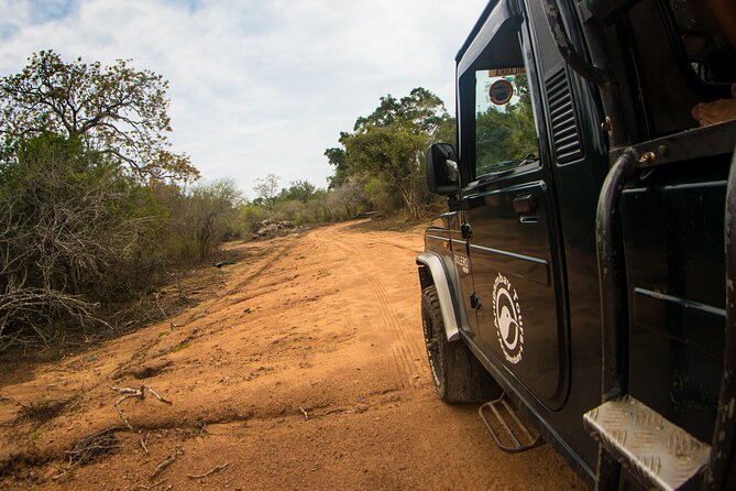 Kumana National Park Half Day Jeep Safari - Pickup, Private Vehicle, and How the Day Runs