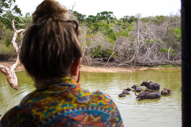 Kumana National Park Half Day Jeep Safari - Entering Kumana National Park: What You’re Actually Looking For