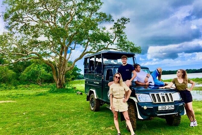 Kumana National Park Half Day Jeep Safari - Bird Watching in the 200 Hectare Zone, Especially May and June