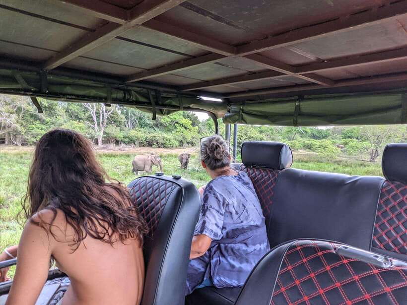 Kumana National Park : Morning or Afternoon Safari Tour - Photography tips that work for Kumana’s birds and big animals