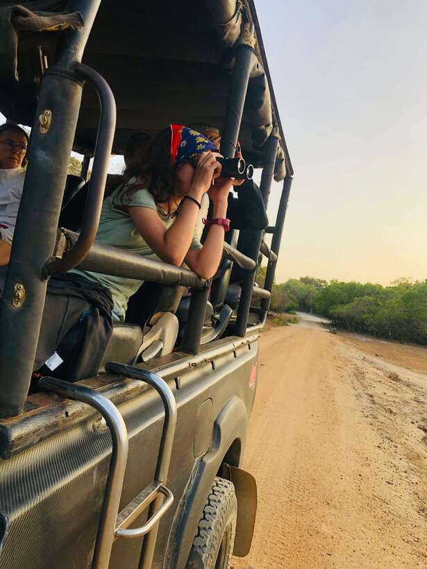 Kumana National Park : Private Half-Day Jeep Safari - Guide and Communication: The Difference Between a Good and Great Day