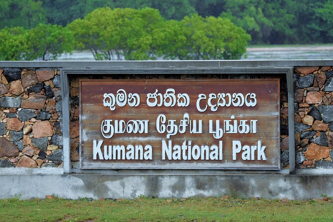 Kumana National Park Safari | from Arugam Bay - Kumana’s birdwatching engine: migratory season and year-round species
