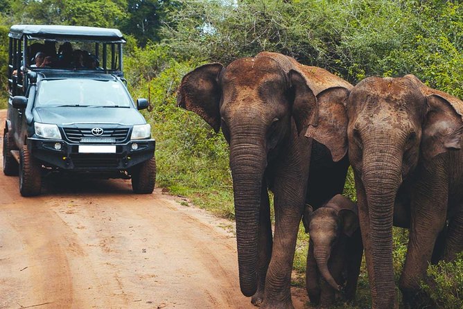 Leopard Safari Tour in Yala National Park - Park gate at 6:00 AM, and the advantage of being early