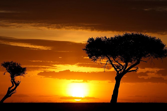 Leopard Safari Tour in Yala National Park - Price and logistics: what you’re really paying for