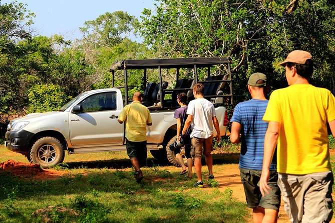 Leopard Safari Tour in Yala National Park - Optional picnic breakfast and lunch: useful, not fluff