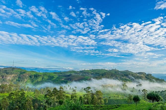 Lipton's Seat and Tea Factory,Trail Amidst Tea Plantation Day Tour - Key highlights to know before you go