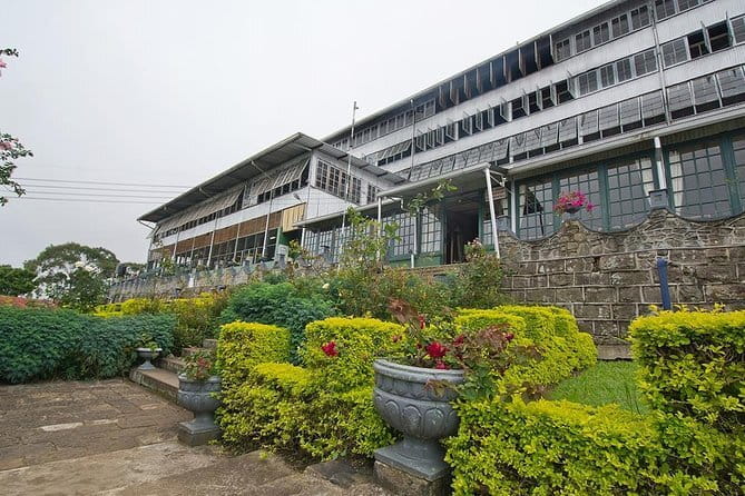Lipton's Seat and Tea Factory,Trail Amidst Tea Plantation Day Tour - Who this tour suits best, and who might want a different option