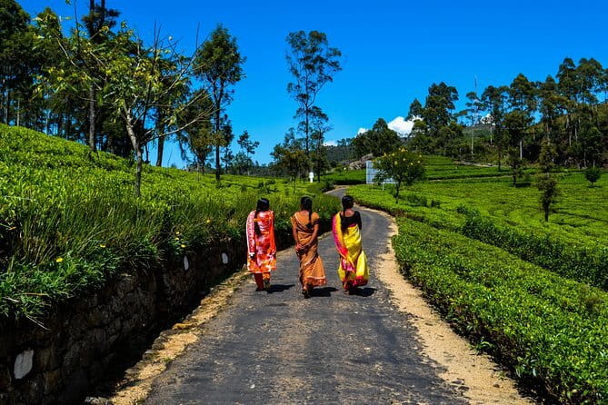 Lipton's Seat and Tea Factory,Trail Amidst Tea Plantation Day Tour - Lipton’s Seat stop: panoramas, Sir Thomas Lipton, and the lakes you might see
