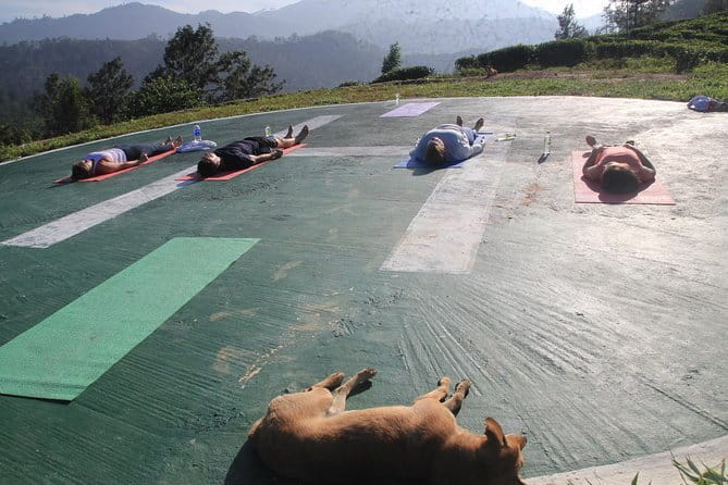 Little Adams peak Sunrise Hike and Yoga Lesson . - Where you meet and how the day is shaped