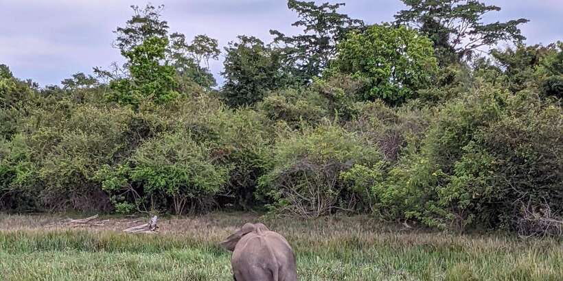 Lunugamvehera National Park Safari ( Yala Block V / VI ) - The 4x4 jeep and guides: comfort plus real spotting skill