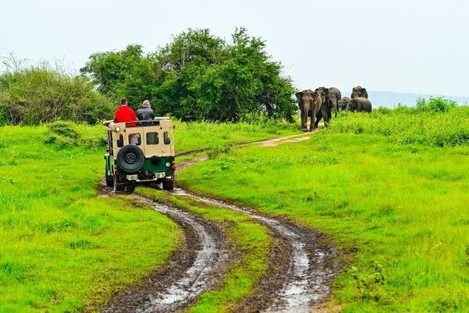 Luxury cars for rent with driver - 2 to 30 days in a luxury car: flexibility without the shared-tour hassle