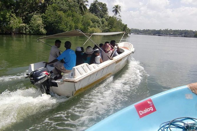 Madu River Boat Safari Balapitiya - Key points before you go