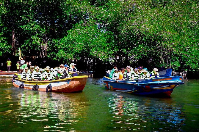 Madu River Boat Safari Balapitiya - A practical way to see the Madu River up close in 2 hours