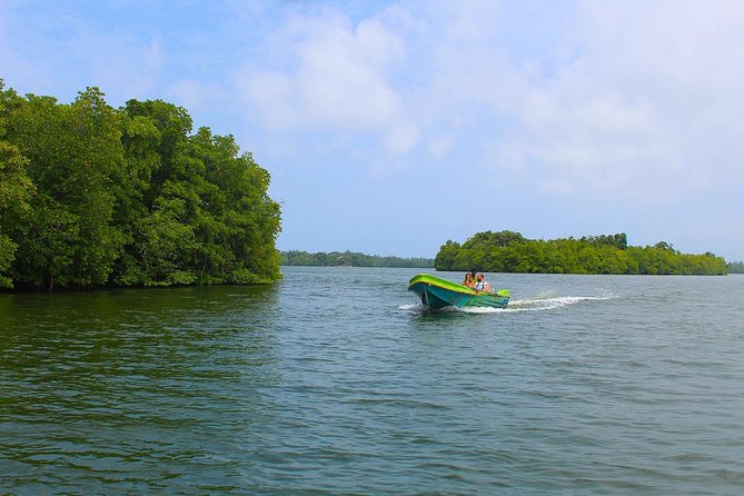 Madu River Boat Safari Balapitiya - Value check: what you get for $29 per person