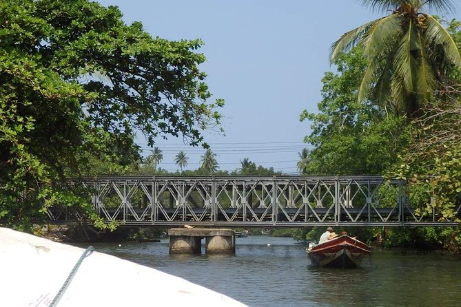 Madu River Boat Safari Balapitiya - Timing, meeting area, and why good weather matters