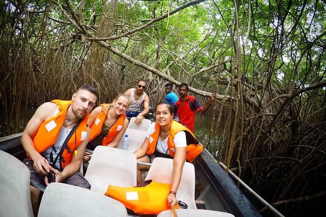 Madu River Boat Safari Balapitiya - Suduhansa Madu River Boat Safari stop: the island temple moment