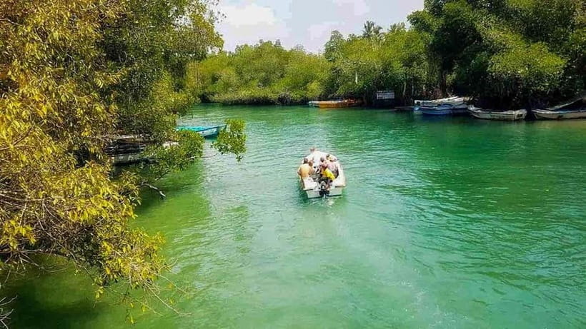 Madu River Boat Tour and Cinnamon Garden visit - Key Things You’ll Enjoy on This Madu River Tour