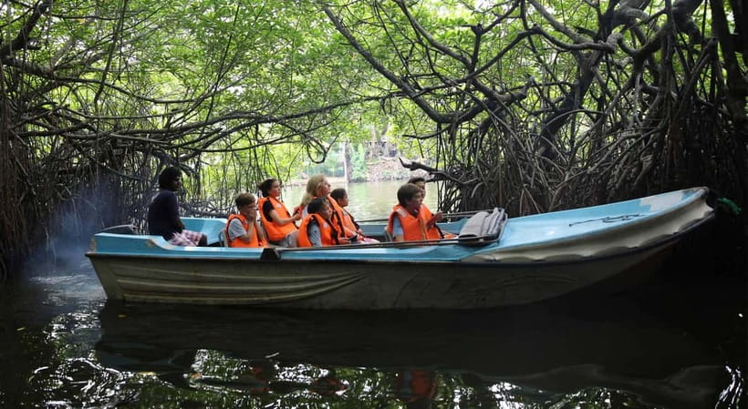 Madu River Boat Tour and Cinnamon Garden visit - Madu River Mangroves, Where the Boat Ride Feels Like Part of Nature