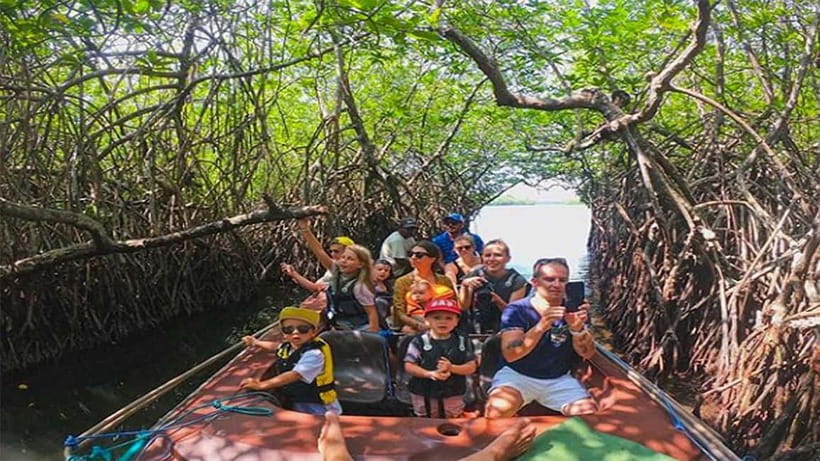 Madu River Boat Tour and Cinnamon Garden visit - Mangrove Marsh Life and Traditional Prawn Traps