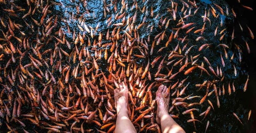 Madu River Boat Tour and Cinnamon Garden visit - The Cinnamon Island Stop: Spice You Can Actually Take Home