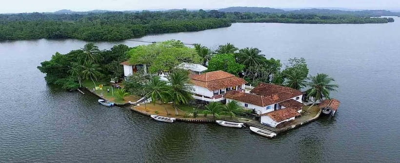 Madu River Boat Tour and Cinnamon Garden visit - Optional Fish Massage: Funny at First, Then Decide for Yourself
