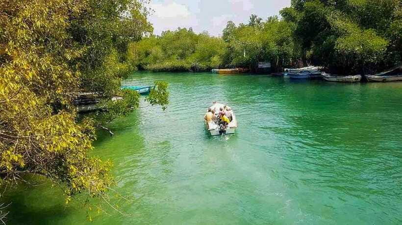 Madu River Boat Tour and Cinnamon Garden visit - Price and What You’re Actually Paying For